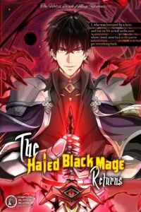The Hated Black Mage Returns